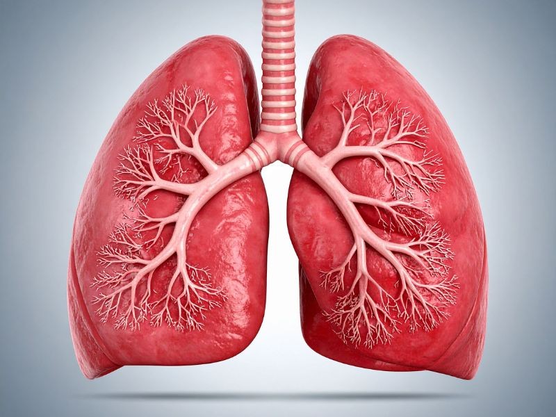 Ablação Pulmonar