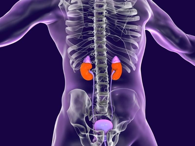 Biópsia de adrenal